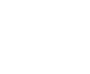 Evolution games at Kineko Casino